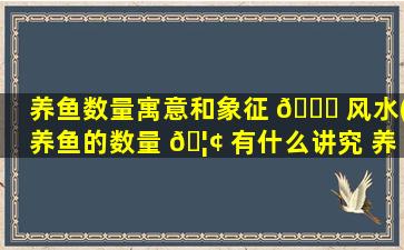 养鱼数量寓意和象征 🐋 风水(养鱼的数量 🦢 有什么讲究 养几条鱼zui
合适)